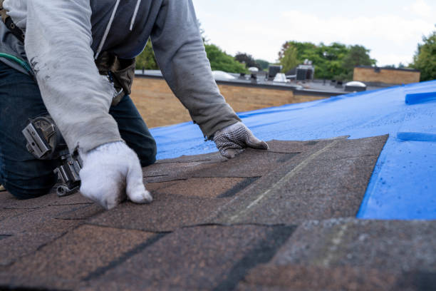 Tile Roofing Contractor in Central City, IA