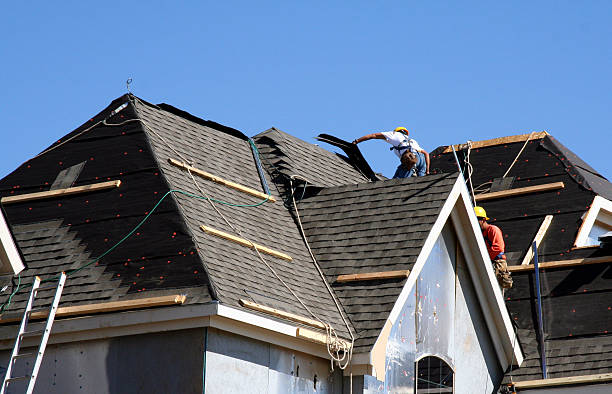 Best Roof Repair Services  in Central City, IA