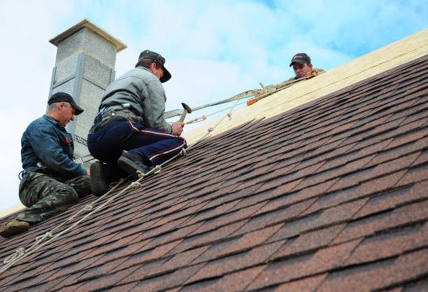 Best Shingle Roofing Installation  in Central City, IA