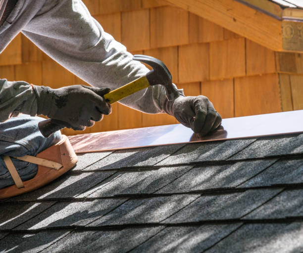 Roof Gutter Cleaning in Central City, IA